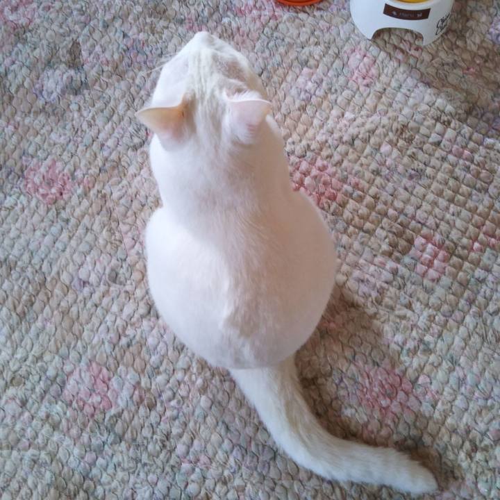 681569bb bbb4 41f5 b23a 535e053f21d5 1539329251500