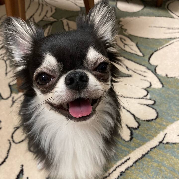 681590f6 8983 4b54 8b79 c66f8d482166 1625924235768