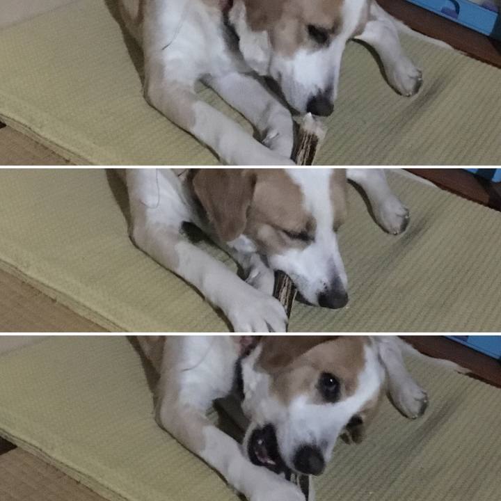 6815dc4d dc16 455a 80ba 296a028704d1 1516075305516