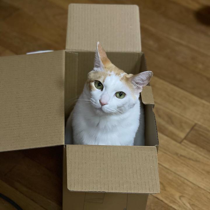 6815fd0c 12ff 429b 9650 b248a05259f6 1616046525934