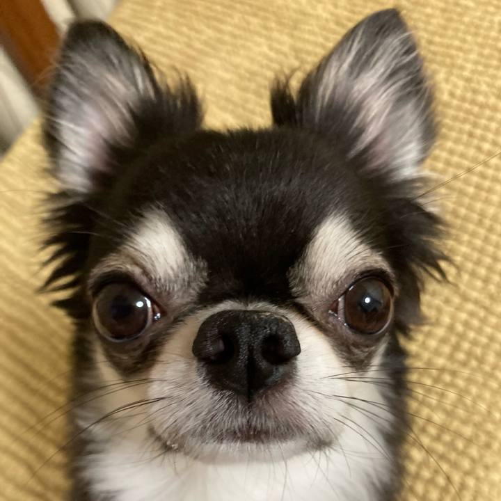 6816ae55 b2a3 481c 8e8e ce4a707b38e6 1658068030050