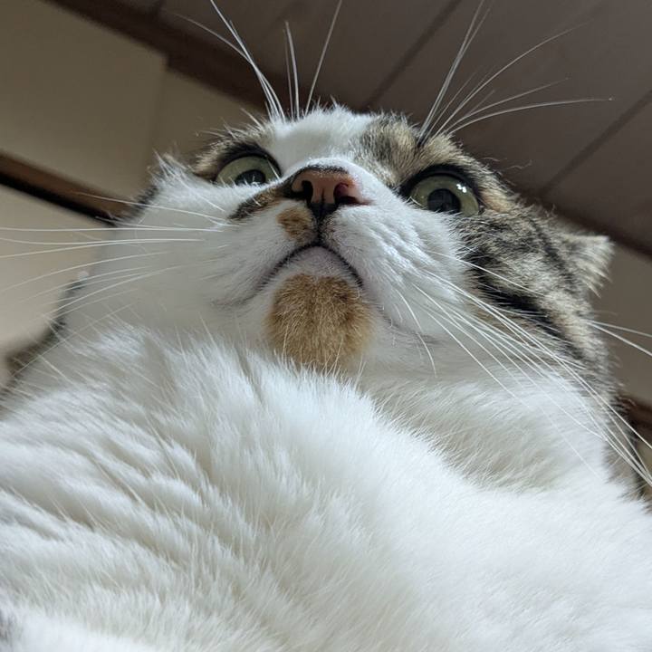 6816e242 f0c8 4f81 8c80 68ac1ecca94a 1751457364860