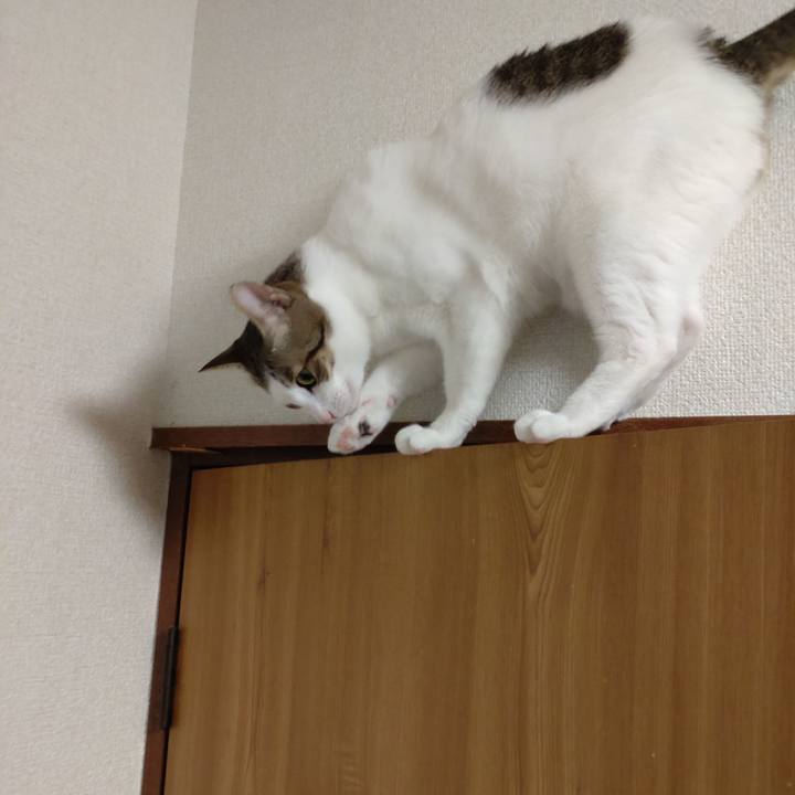 6816e760 34ba 46fd a39e d0db1ddb4bc8 1679223831642