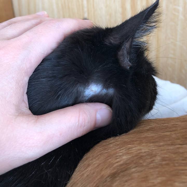 6817a84d 8a63 41b0 a86f 9460066d079d 1583028359197