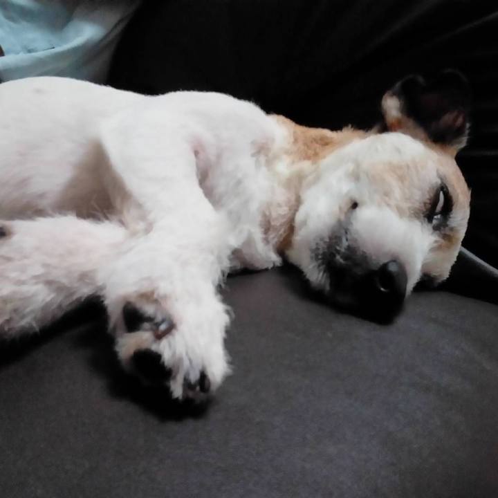 6817a976 ebc5 4579 abd9 cedea36a15bf 1564575214042