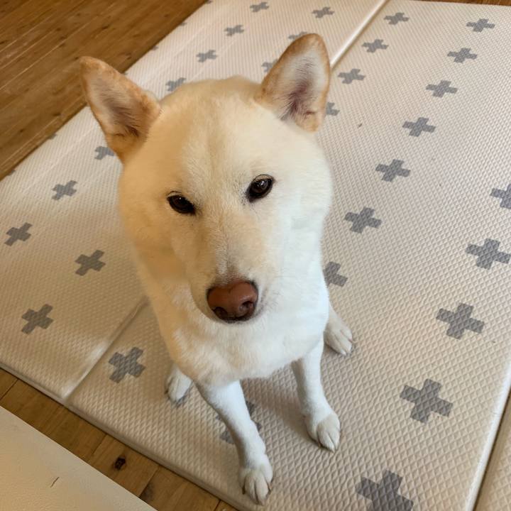 6817d8bb 23f0 4f27 a0b0 bbfbda5bcb92 1561667023586