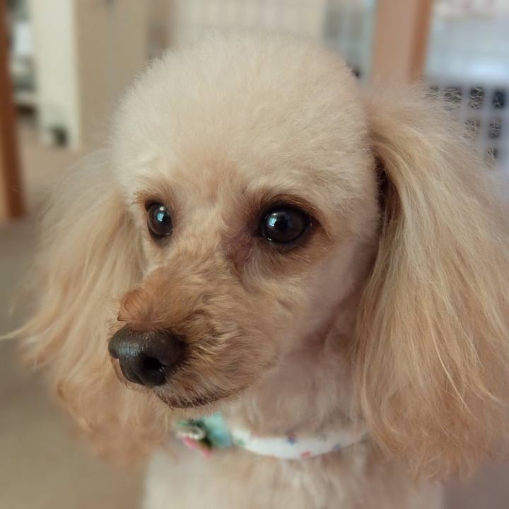 6817f635 5702 4d45 983d db4ccd6c23e4 1551183115167