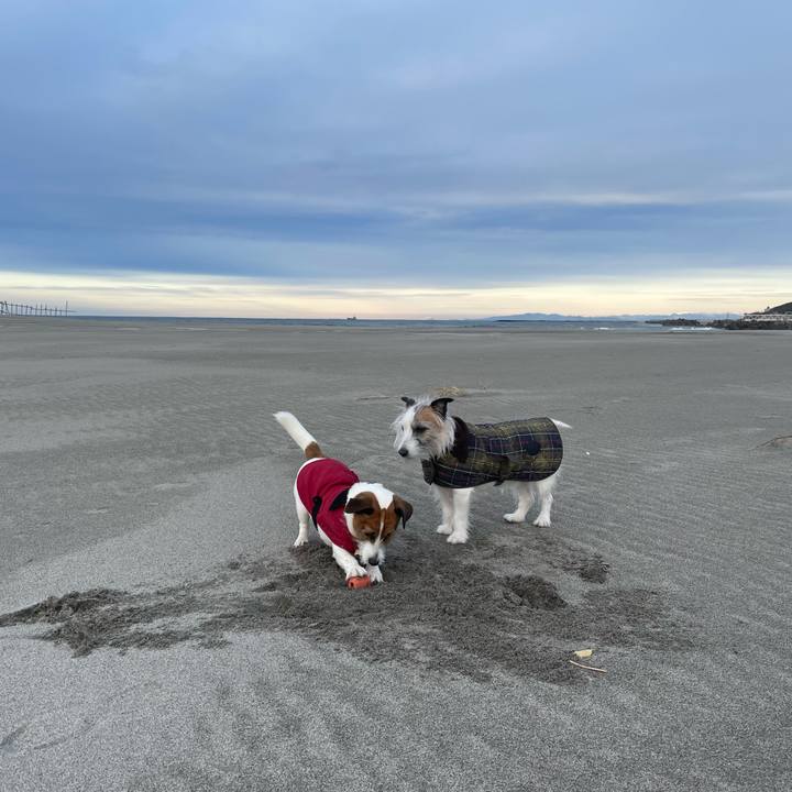 68181cc3 47d8 4ba2 a1bd 44fff98847de 1737966577960