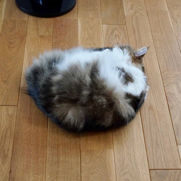 6818248f 9afd 4324 a9ae dc16f6e56b6e 1570421619913