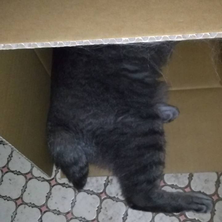 681825e6 d265 469c a986 9c62b8ec8dcb 1663355999637