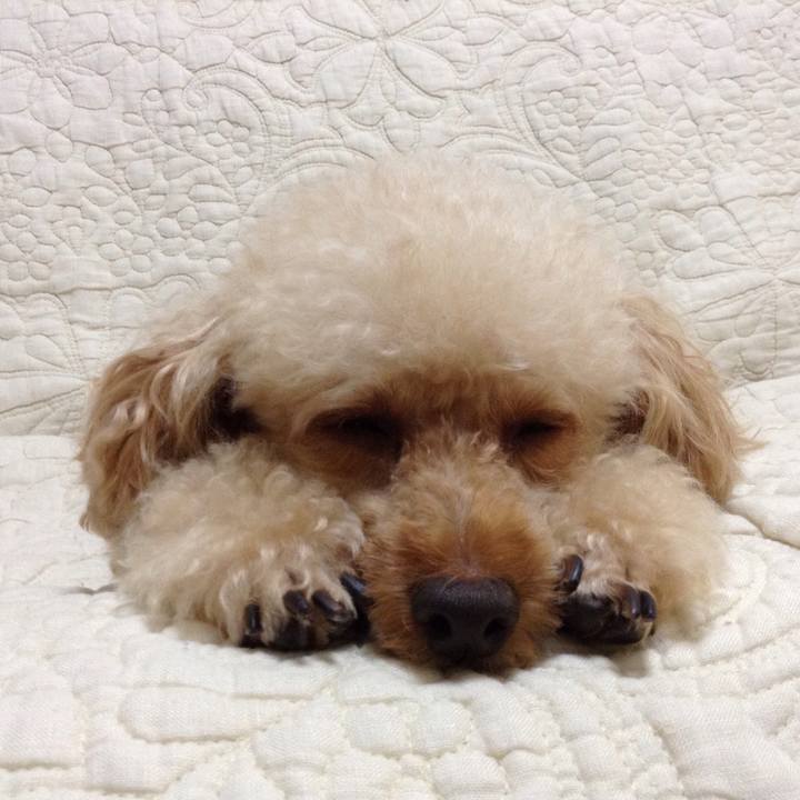 6818a60c ae49 4558 9d2b a56af0718f31 1566008183328