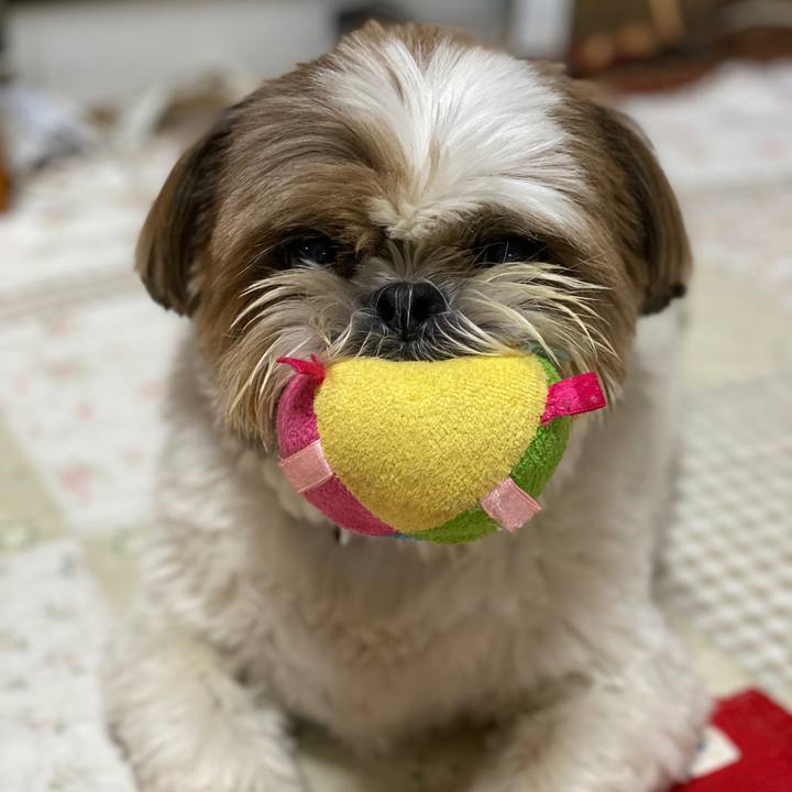 6818b800 9ccd 4717 83ef d93ec0382286 1599562157735