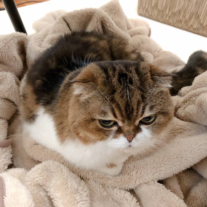 6818fba5 df9b 439b 9c6e 37e7ab78026a 1602820097069