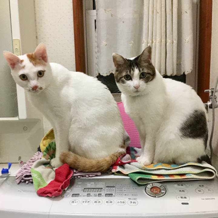 681927bf cbb1 4002 91d6 93c5f43cc75b 1518962744603