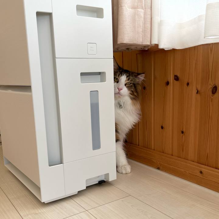 6819461f 9043 4574 8b0c ef8593fe74b0 1644537782773