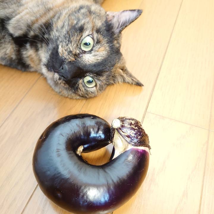 68194a09 0f84 48a4 888f 3182148fdd4b 1756248732826