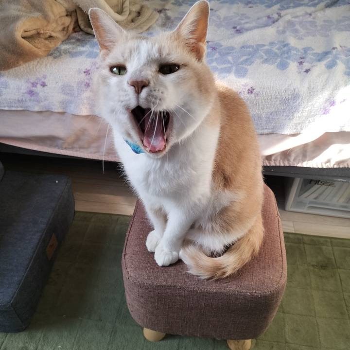 68197de0 d736 47e6 aca2 c25762f74339 1654121165668