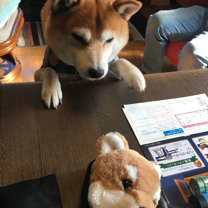 68198b6e b2ee 44e8 9153 6d96634d590e 1516871005973