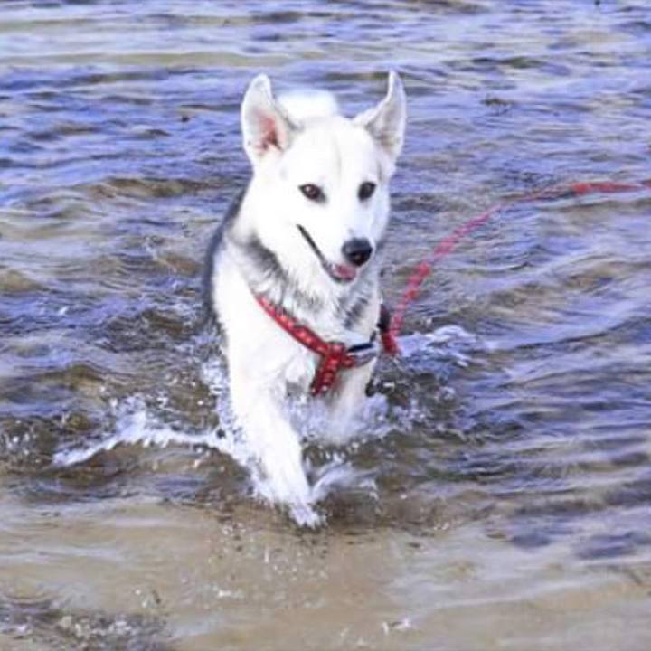 6819aab4 1347 40d7 a969 39396b1321a3 1552624114820