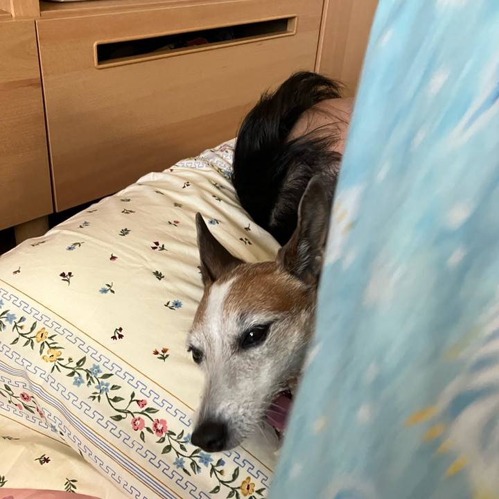 6819e85d 5c5f 4afc b632 f9de0d8bb15f 1677540660158