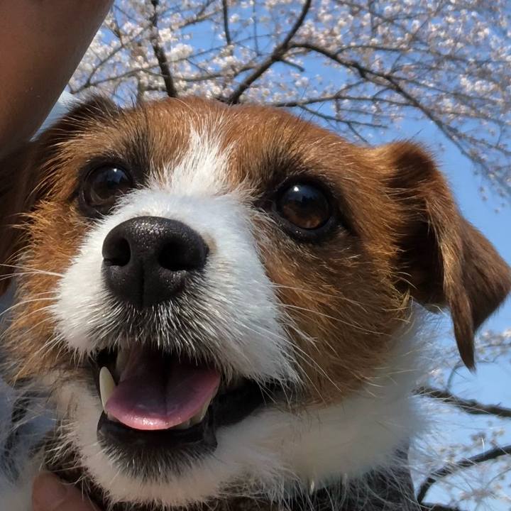 681a0943 1ca0 4dd4 971e 05322ae68163 1521951101579