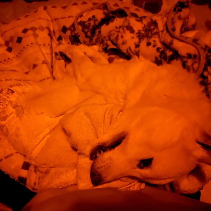 681a8986 f400 499b b814 ebf757c03150 1673544604206