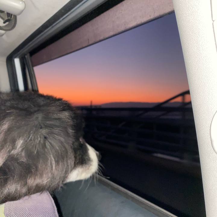 681a904d 8d37 445b 9477 220c747f99b0 1669498296180