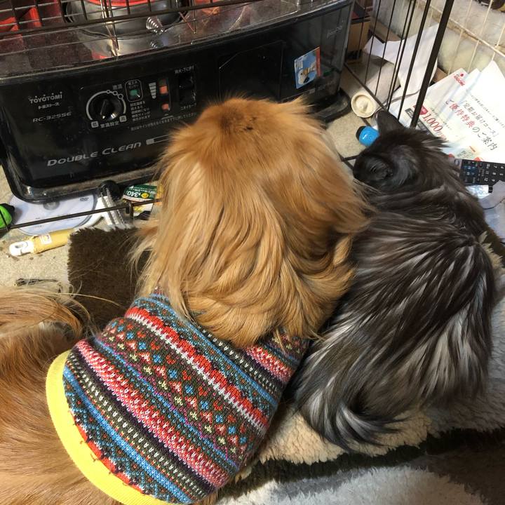 681aa063 9825 4840 847d 87b767b94e61 1551130730191