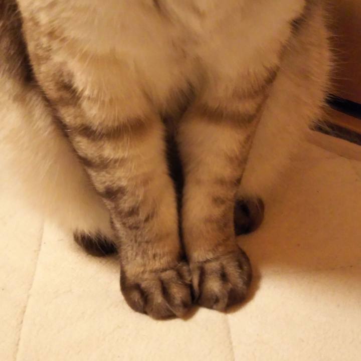 681aa772 4f5c 41c9 9ae6 7d12326f6ce5 1543322855231