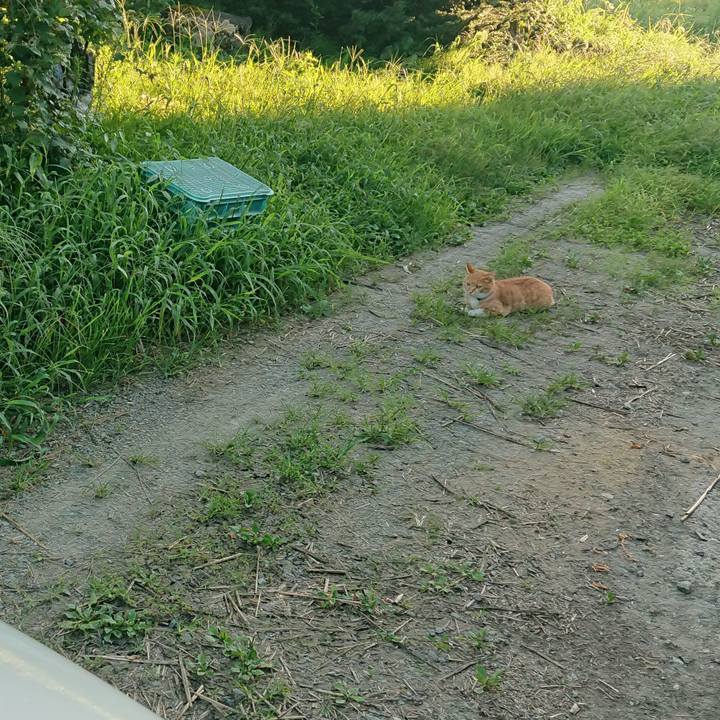 681aec9a bb6c 4ff5 82a7 4a2ba4c3d8b6 1597914192470