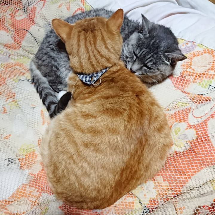 681afb65 e354 4721 a919 bbc08d7ec250 1573994793936