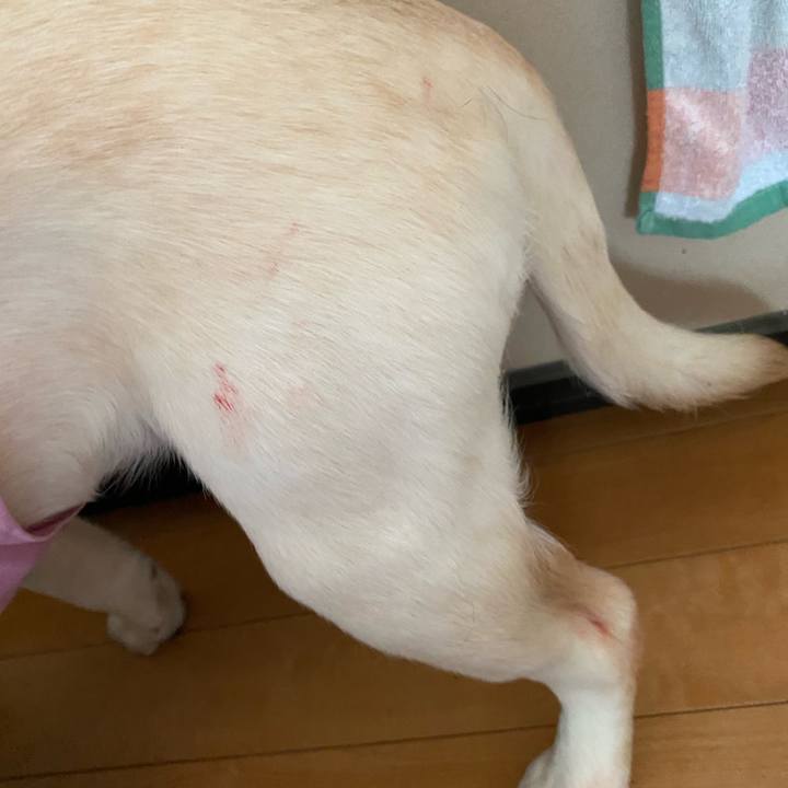 681b3883 0a71 4ce8 bed8 5ce61ec60212 1616107808194