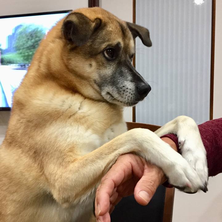 681b4075 8ab4 4593 8d8b e3c78b05db9b 1508408274658