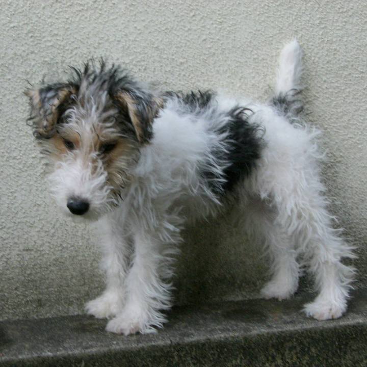 681b8c77 fb2a 4387 954d 4abe0c4294c7 1619770772186