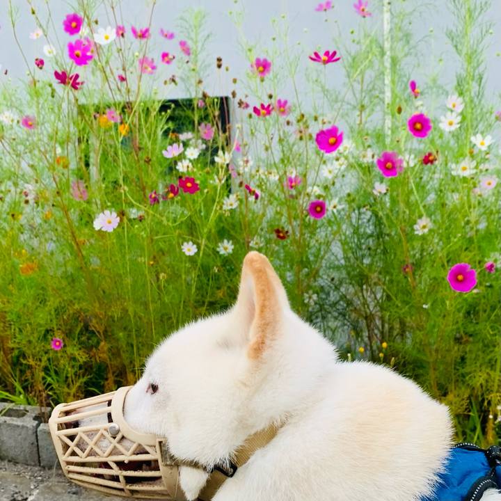 681b9c18 8ada 4cc3 8eb1 fd0dd5f60788 1661636484308