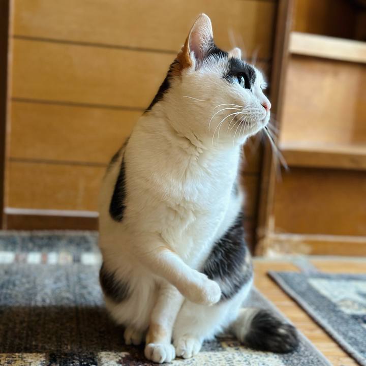 681bc64d 8e89 4523 a694 16b1f6686e64 1676166329190