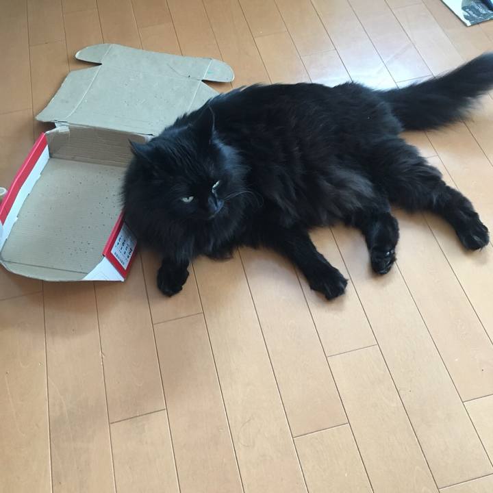 681bf5c2 7eeb 420b bc38 cbd9accdccb8 1544233140902