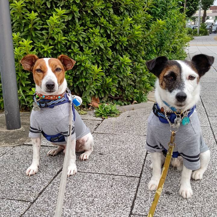 681c3a24 357f 4597 bb11 cd2eeb6f6c70 1629841102675