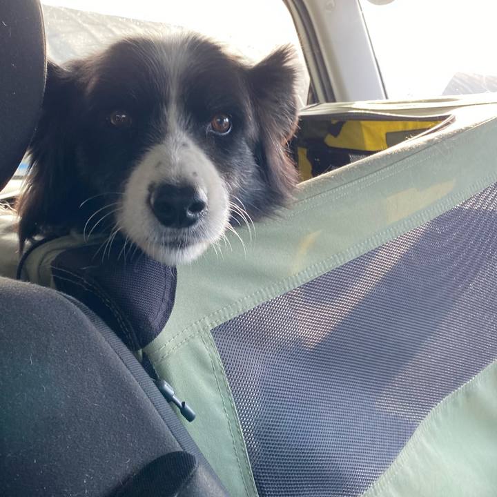 681c7455 dff5 471d 8ef5 01847dd17521 1704935018406