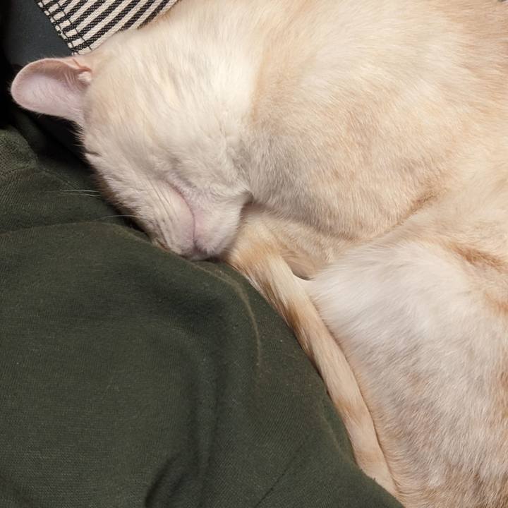 681c8b65 4c9c 4da4 9464 010762c51174 1700469121776