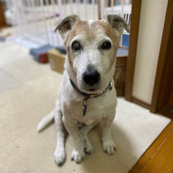 681ca142 49b9 41d7 91de 511834a7b43c 1680125358134