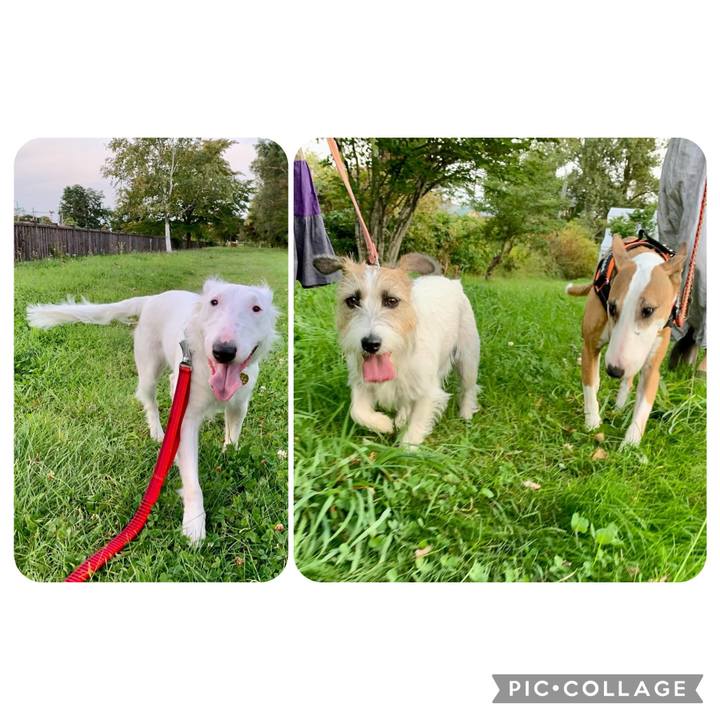 681ccb65 5126 4f7d 9e59 084322f49b98 1663255722313