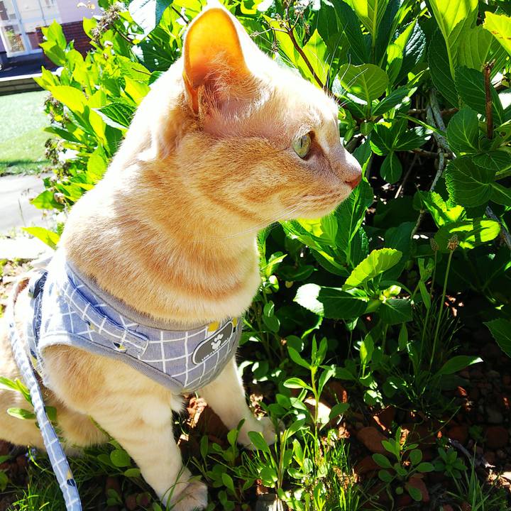 681cd0a5 c469 4039 9c10 d8716b7468f4 1654390540580