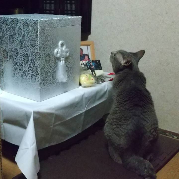 681cefdc 5163 4069 ab67 049ac8a68efa 1686483106212