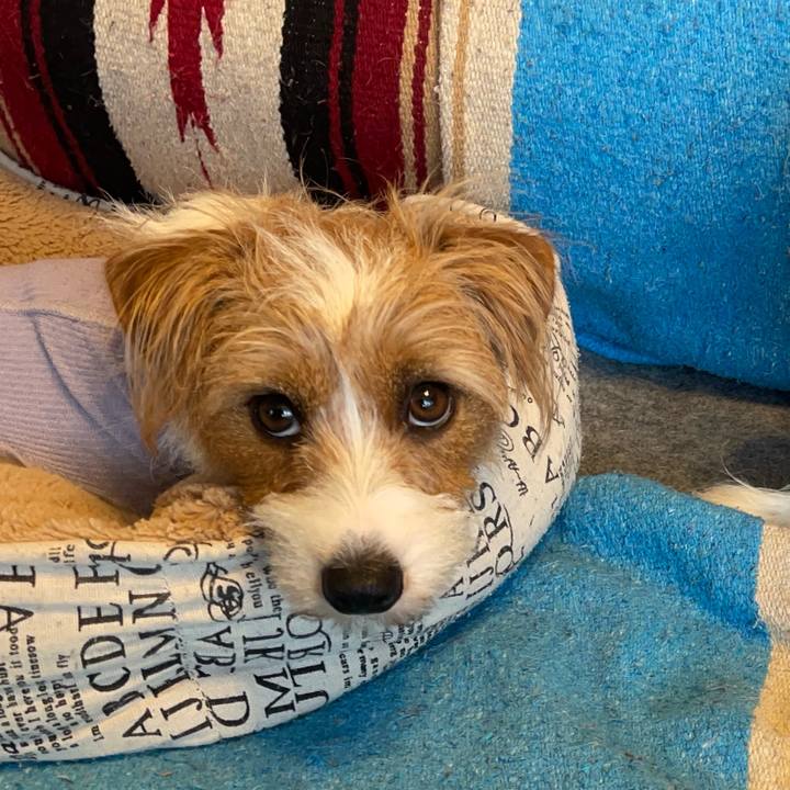 681d147d b141 4a7d b07e 238ca56ad5db 1766236966492