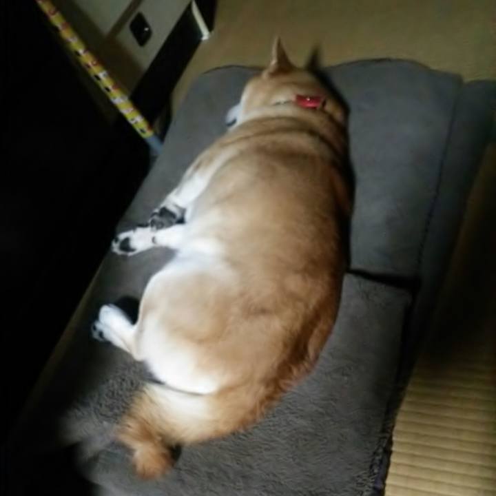 681d3d8e eeeb 4a79 8cd1 037eed001ce6 1509027969300