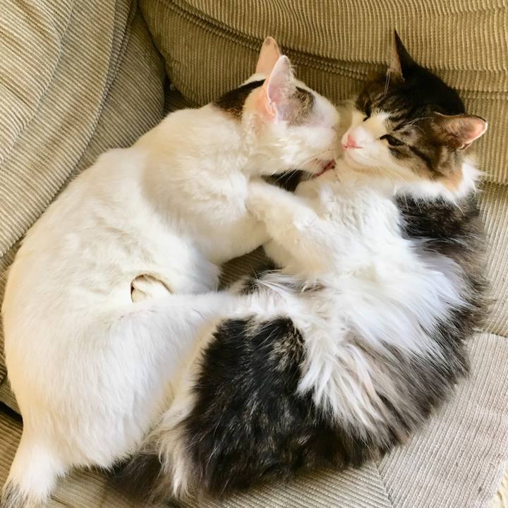 681d711e 2f78 47f0 a772 f524cd120680 1510023568718