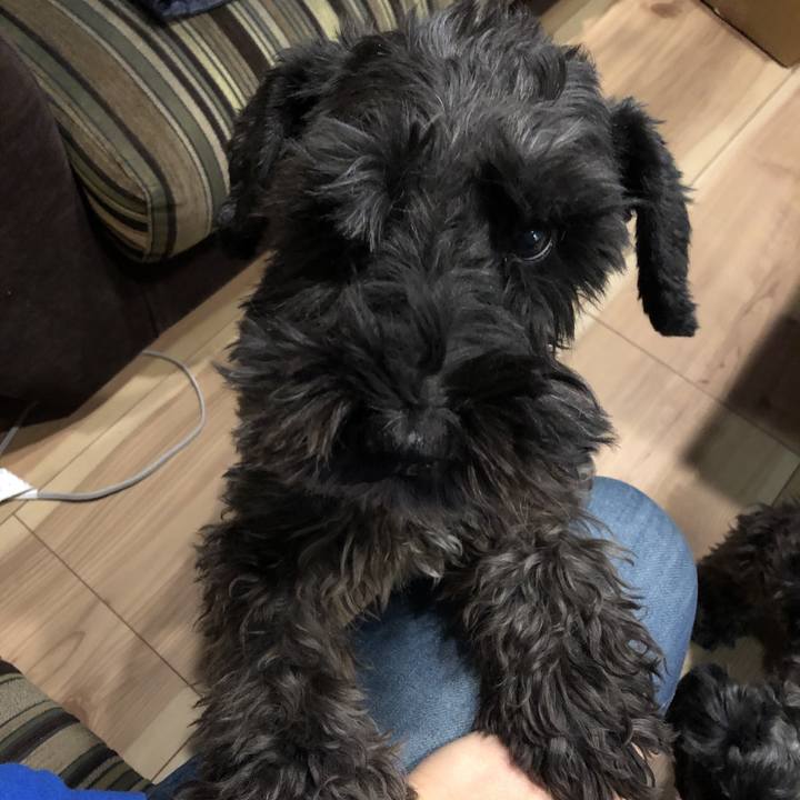 681d86fe 9e35 4bec a2fe ce2f391f5685 1577268965393