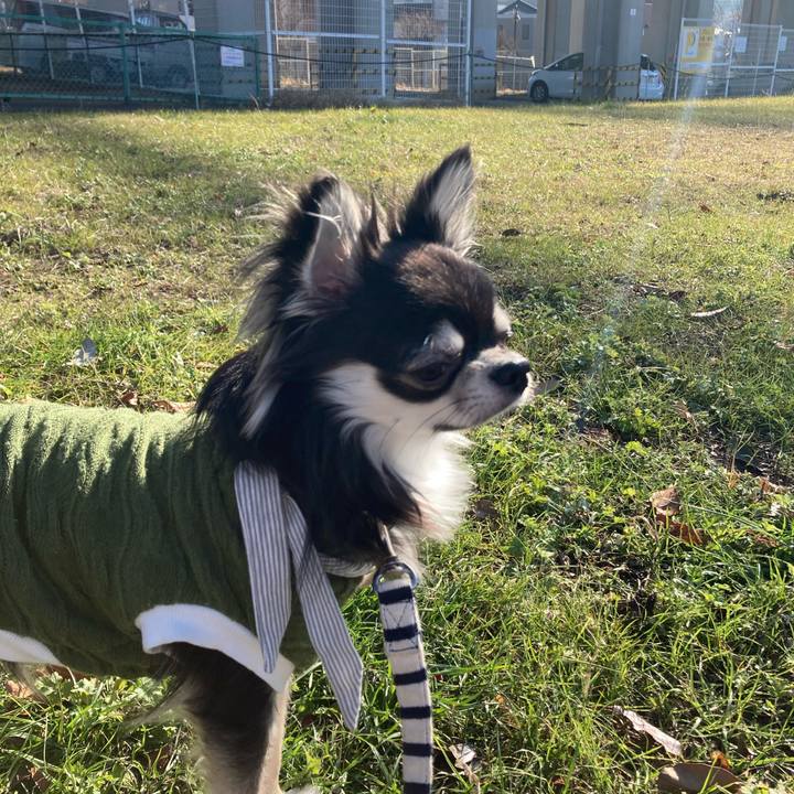 681ddafd 0942 4193 b59f 6d6b55e644ea 1609302793785