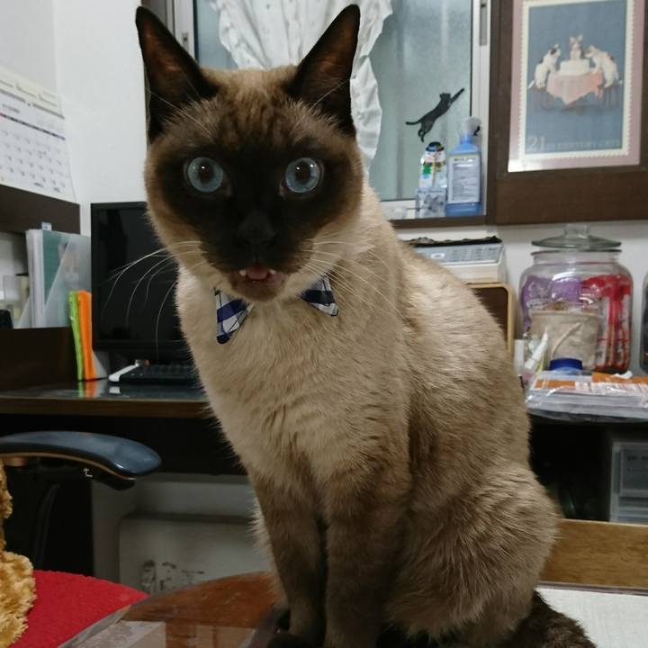 681ddbf0 6452 448f b14c 62b0bc3828d7 1512863015430